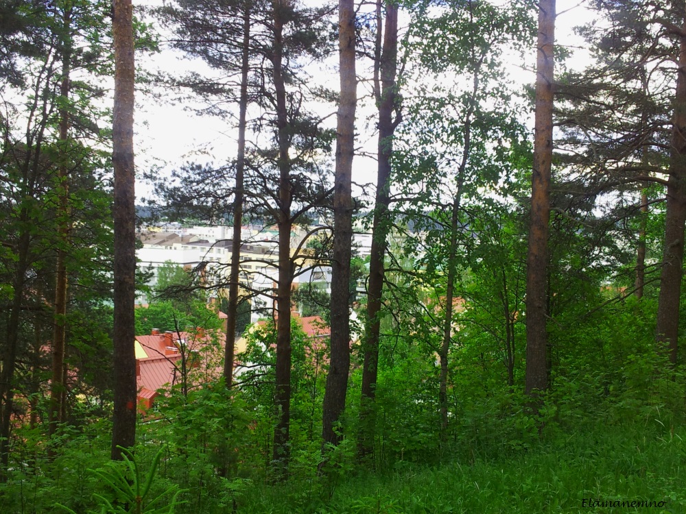 20140609_183329.jpg