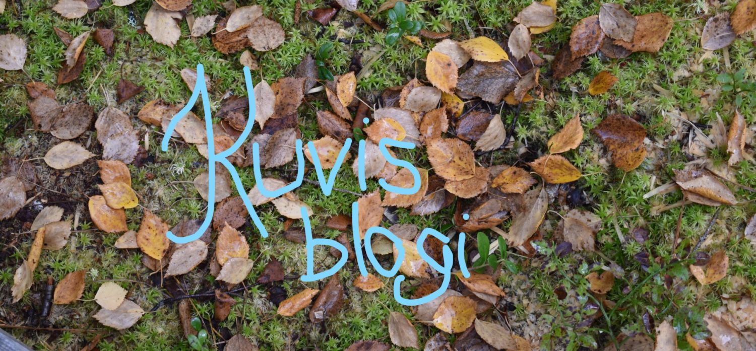 Kuvisblogi