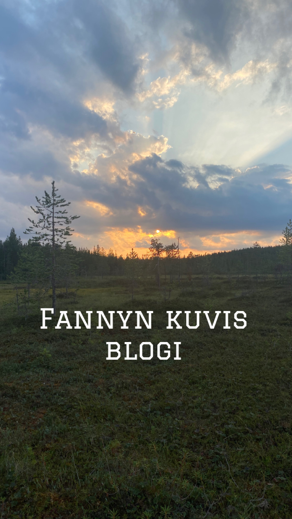 Fanny kuvis blogi