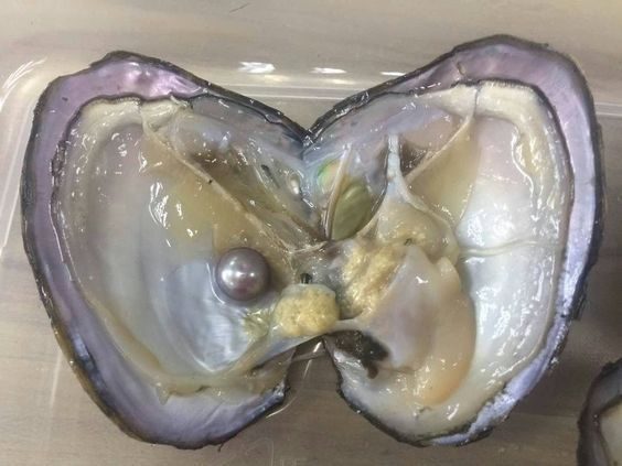 Pohdintoja, duunareita ja karvaisia omenia