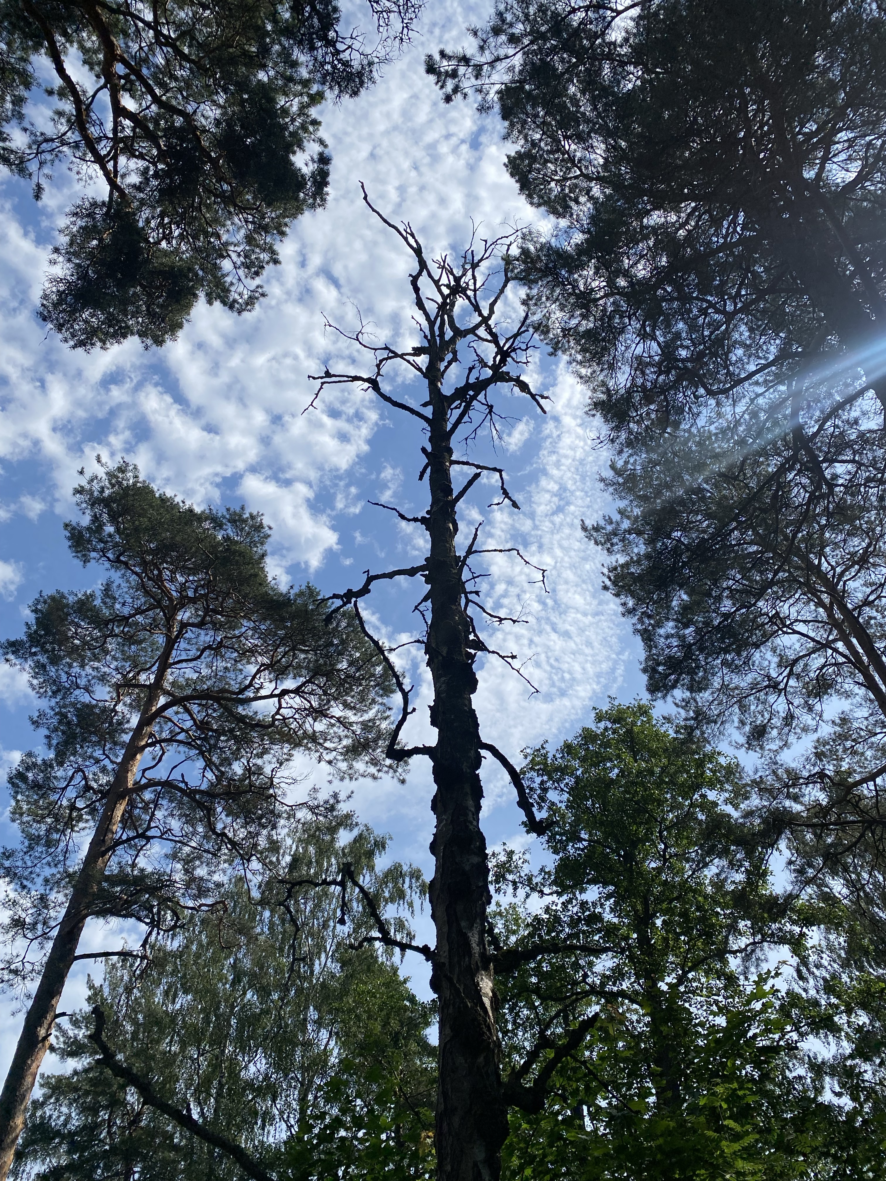 Hiljaisuudesta toipumiseen
