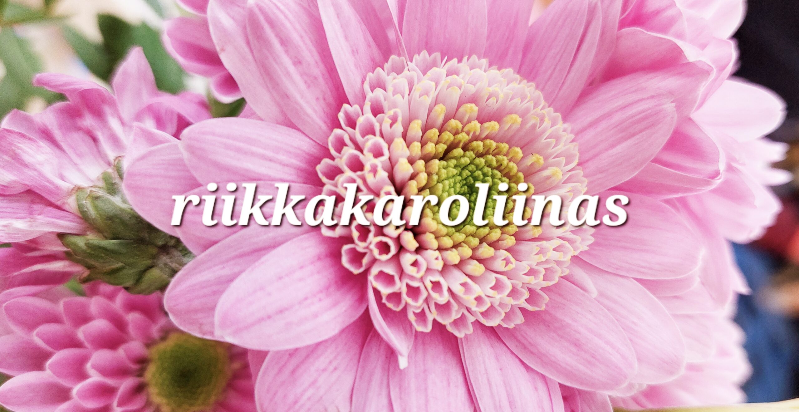 riikkakaroliinas