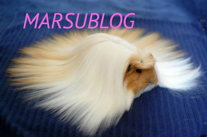 Marsublog