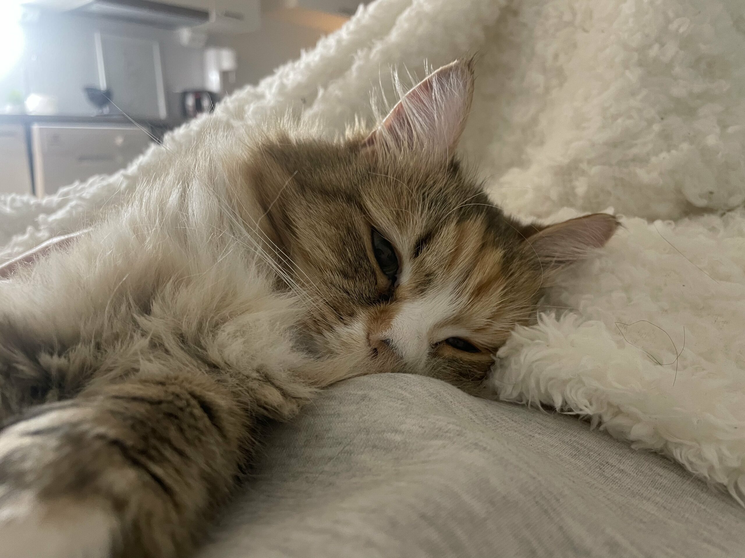 Tässä vielä söpö kuva Ellistä :3