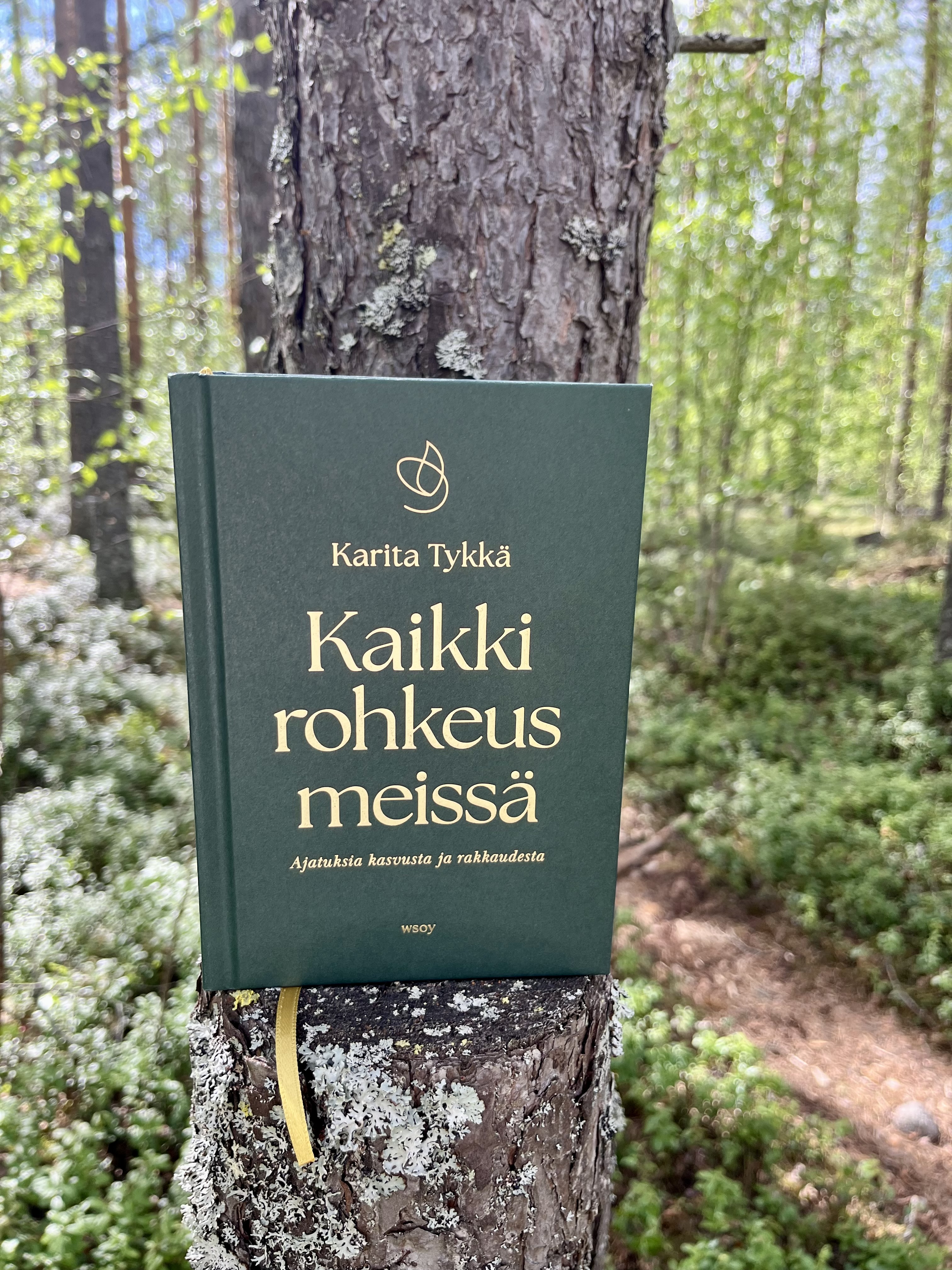 Karita Tykkä: Kaikki rohkeus meissä
