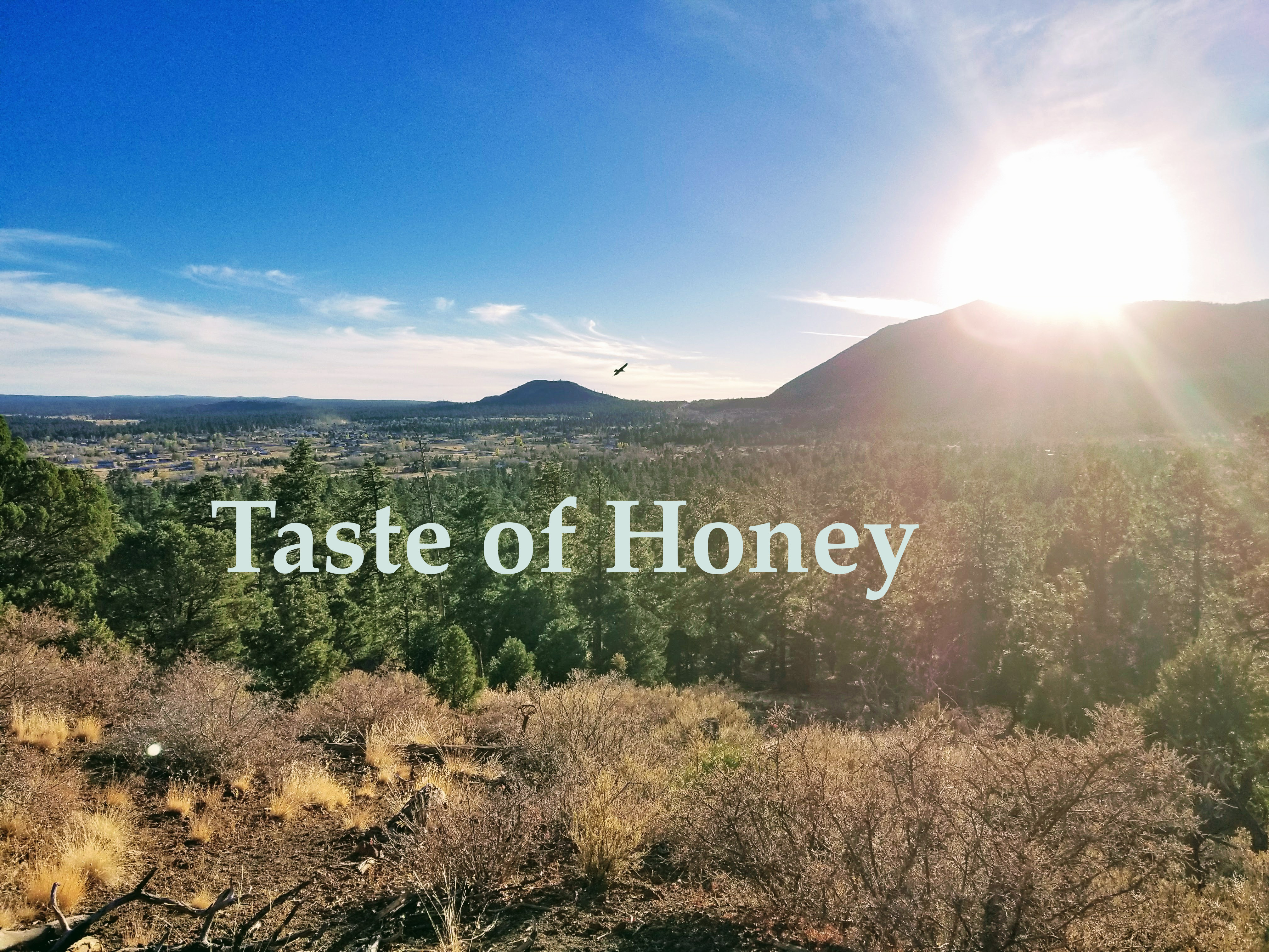 Taste of Honey