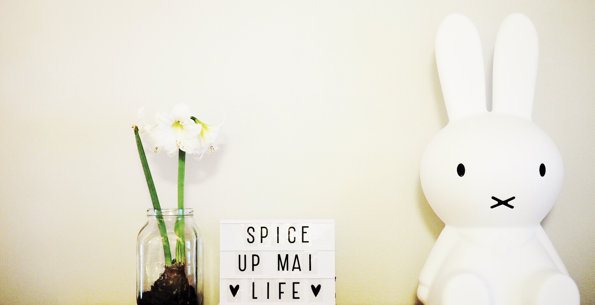Spice Up Mai Life