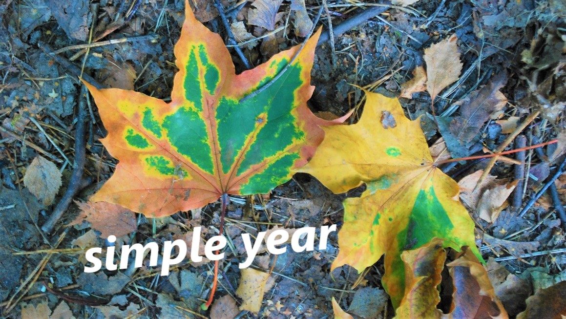Simple year