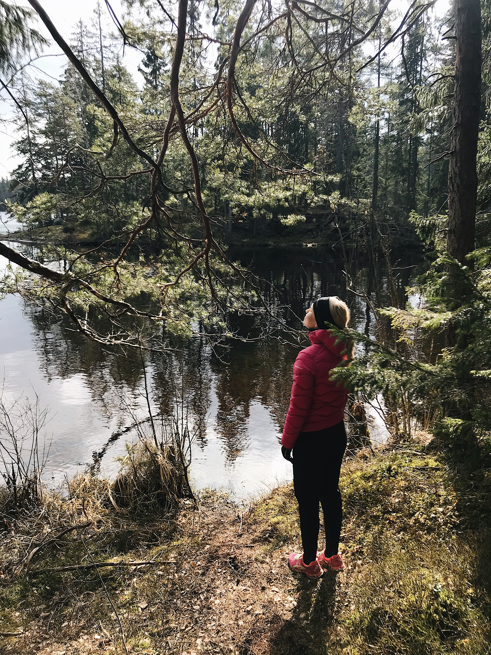 rakkaudesta metsään