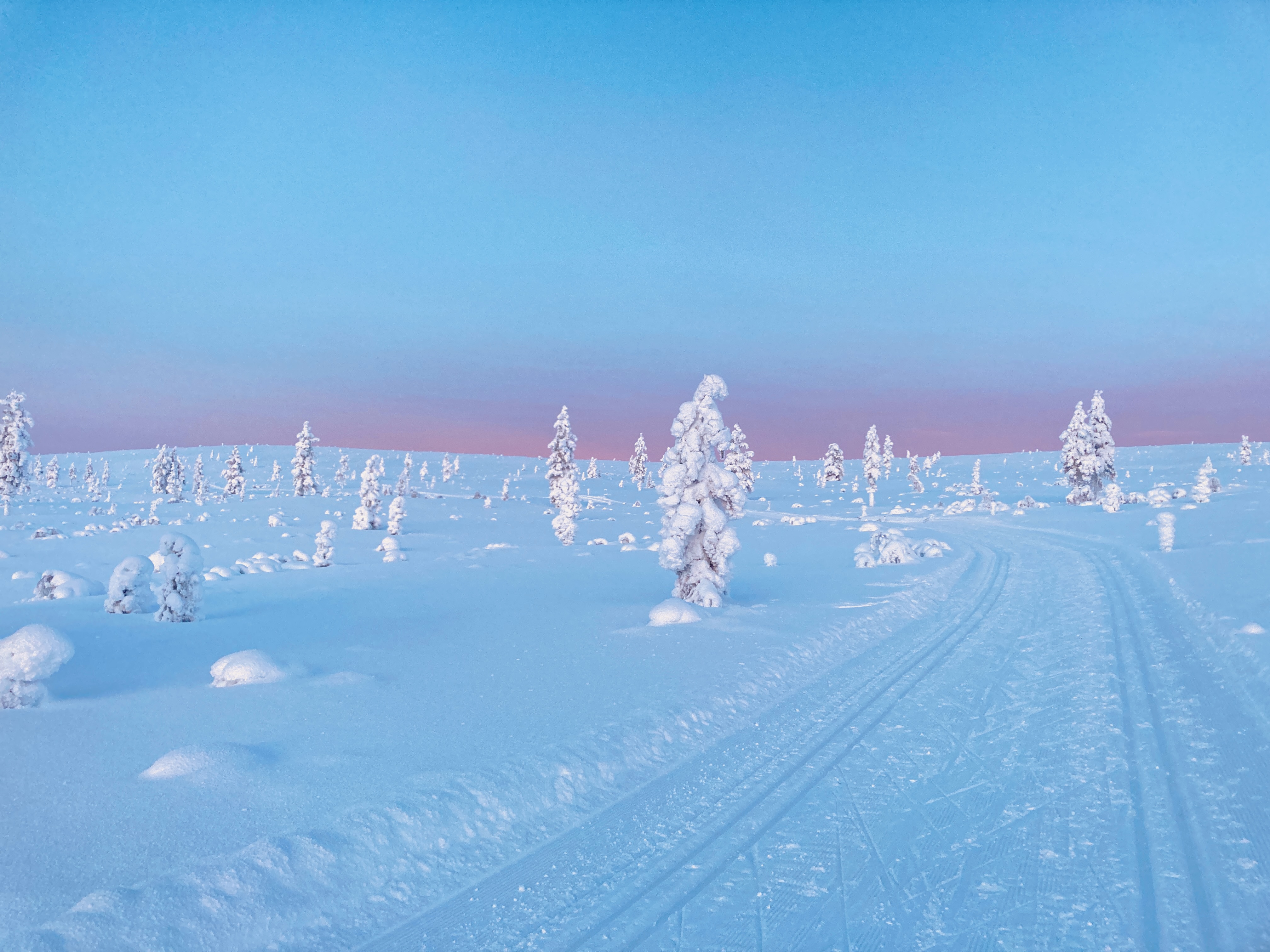 Erämaan auringonlasku