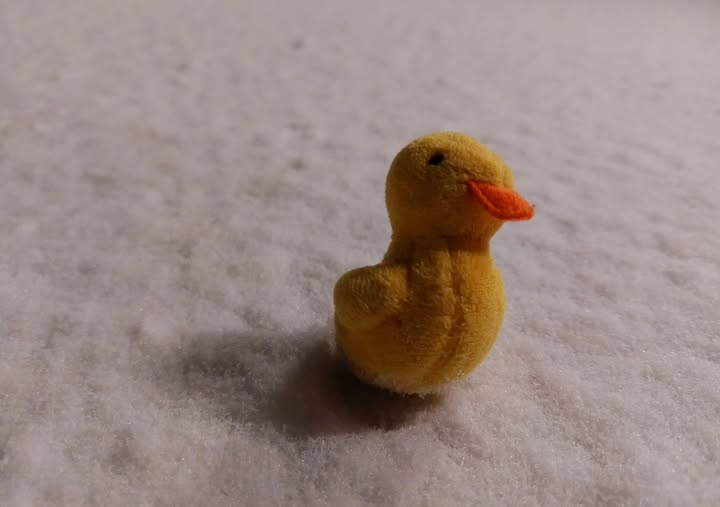 Tämäkin on valinta