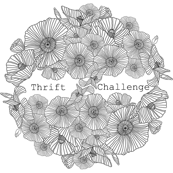 Thrift Challenge