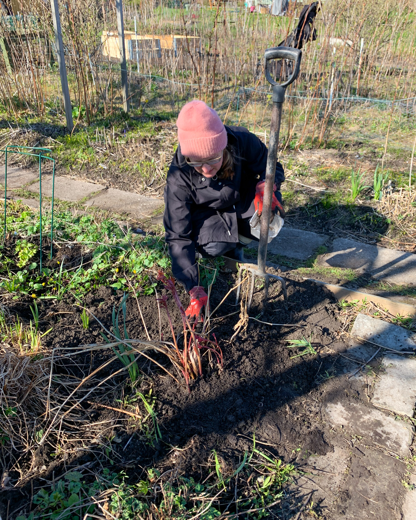 Ei niin erilainen vappu – Isyyspakkaus | Lily