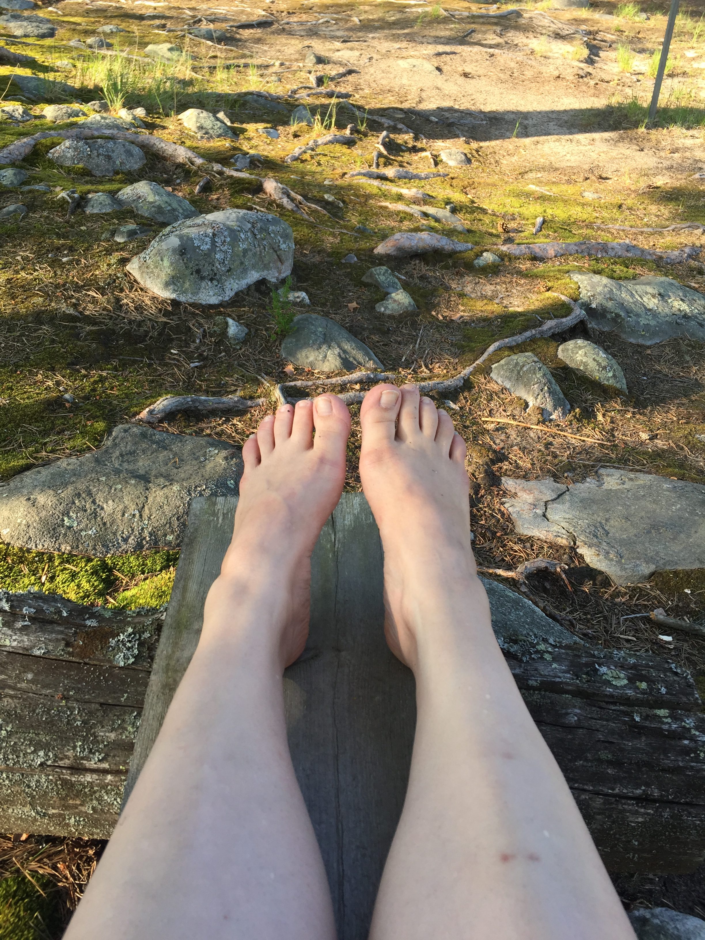 sunset, forrest, toes