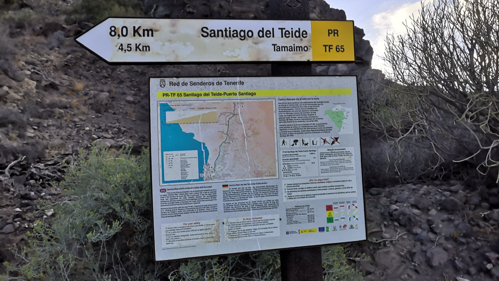 Polkujuoksua Teneriffalla – Puerto Santiagosta rengasreitille Guama – Tamaimo