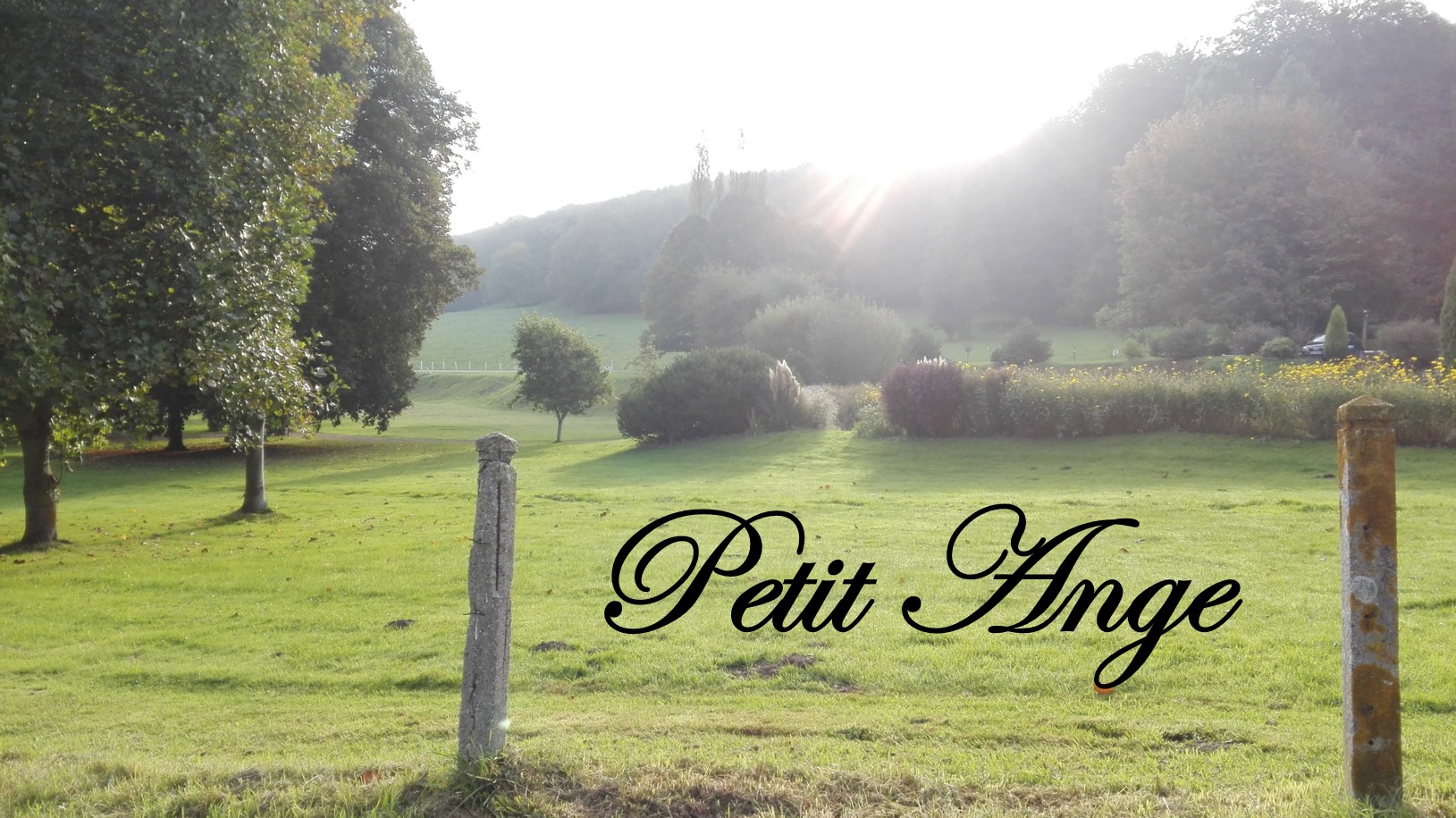 Japanilainen äiti ruiskuttaminenkatsella ilmaiseksi lesbo Seksi Elokuvat