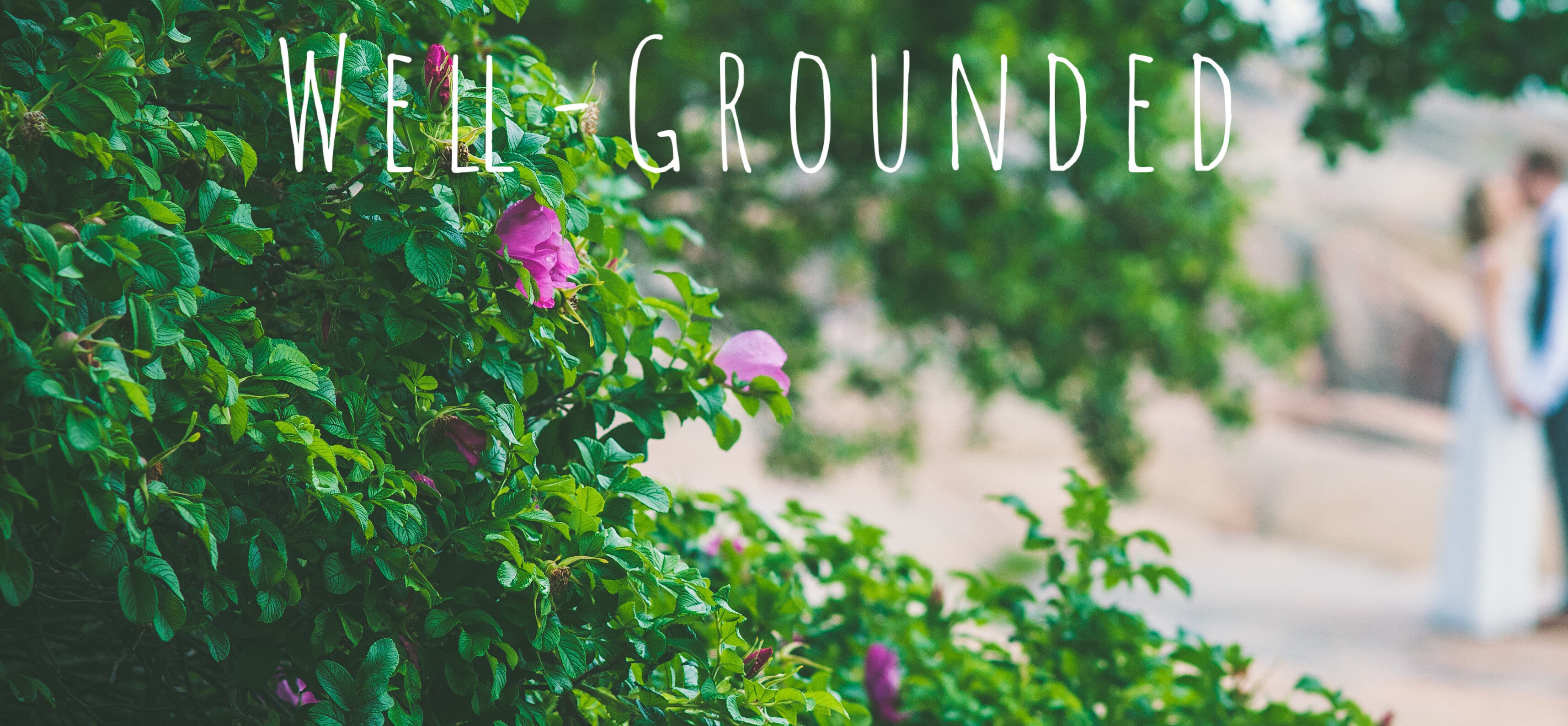 Well-Grounded