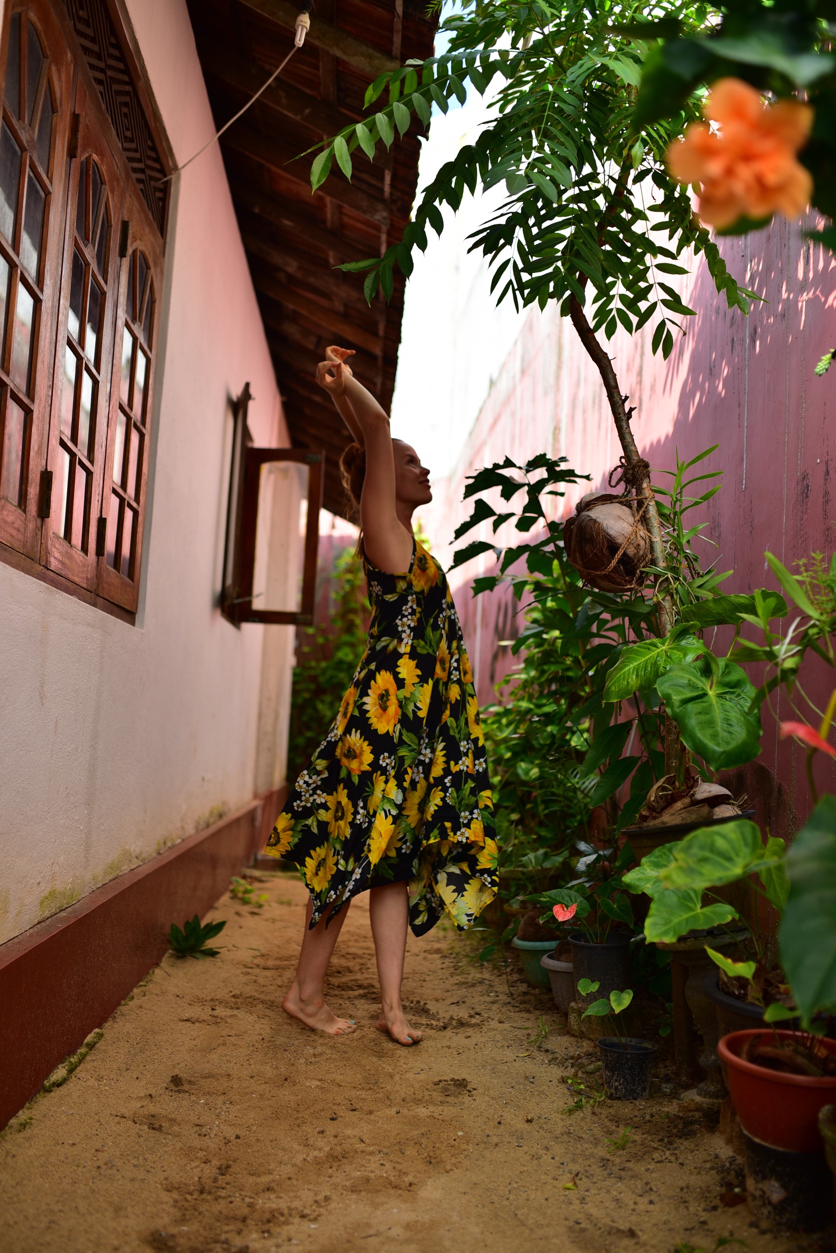 Väriterapiaa kaamokseen – Sri Lankan taikasaari