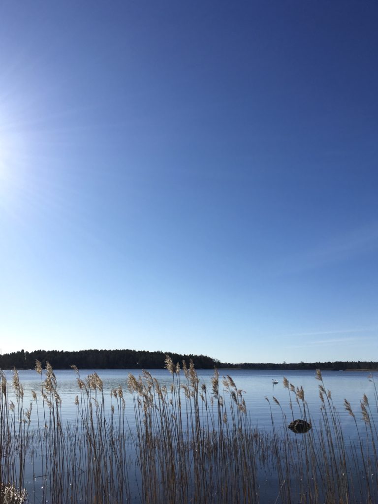 mökkiviikonloppu, jolloin kaikki oli lähes normaalisti