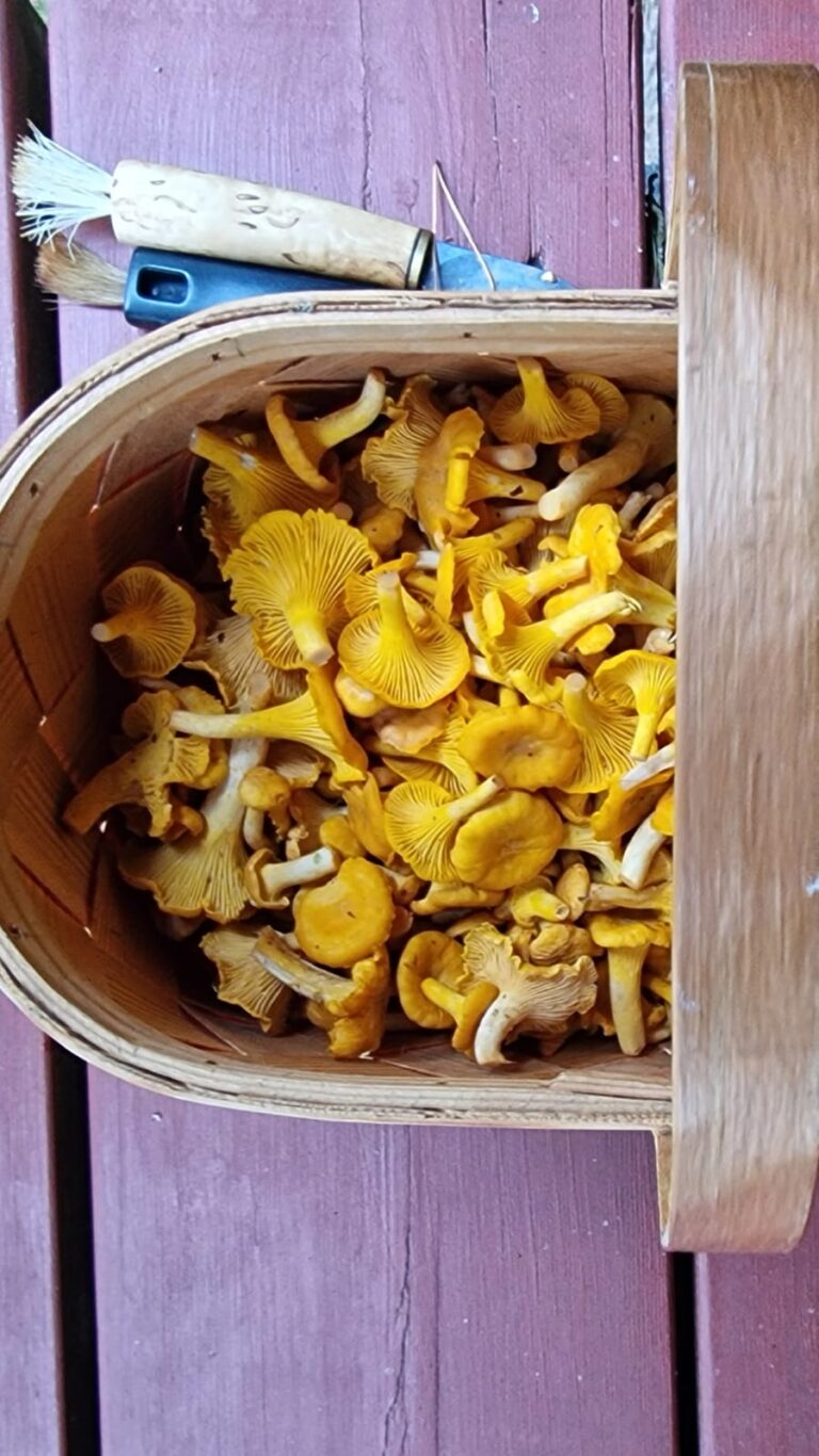 Tänä syksynä yksi asia riittää