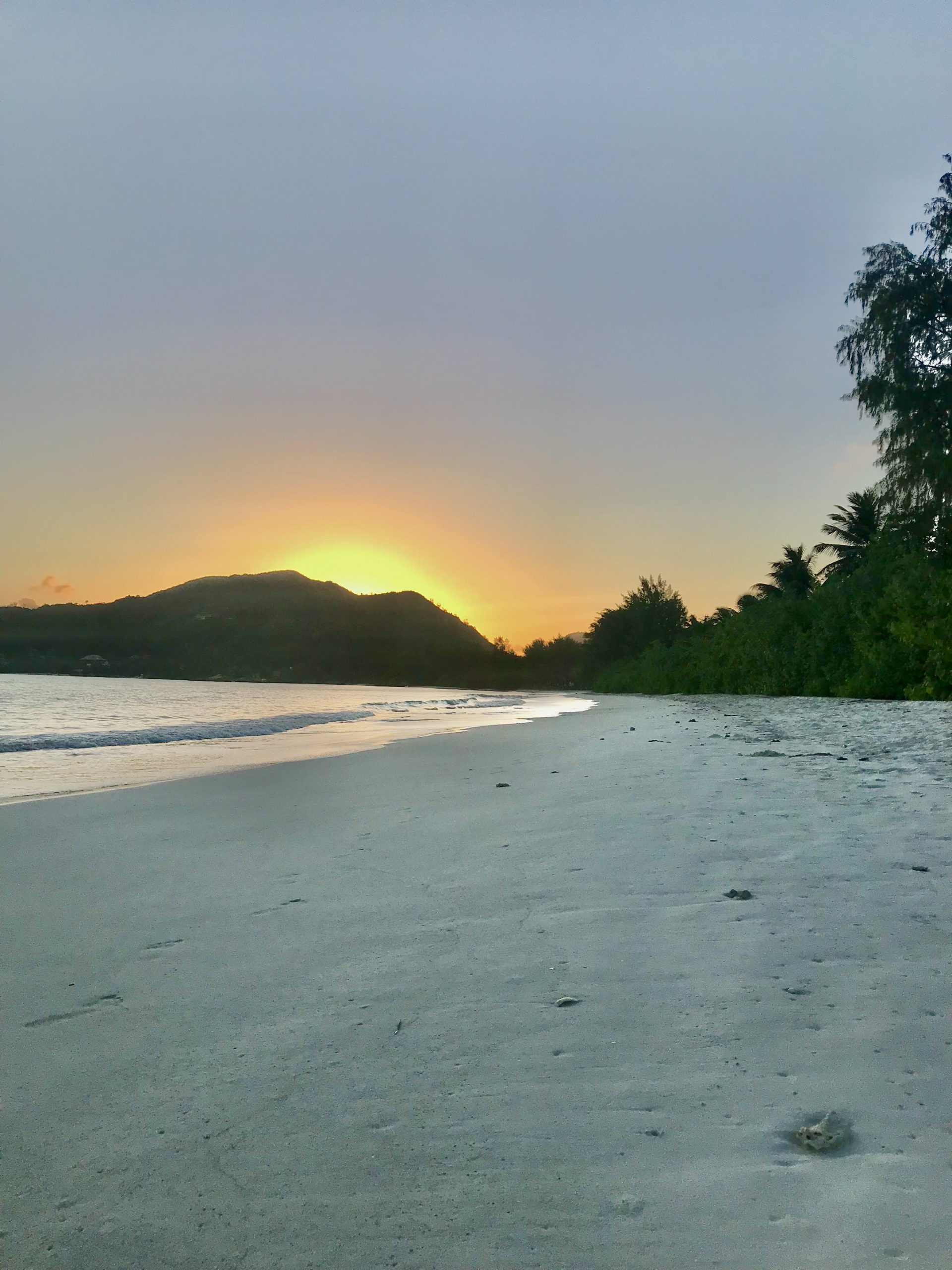 Seychellit osa 3 – Praslin – Out of Office | Lily