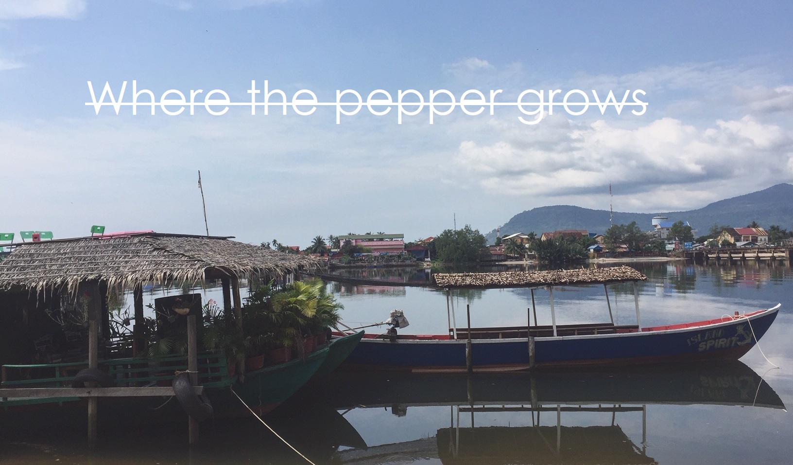 Where the pepper grows