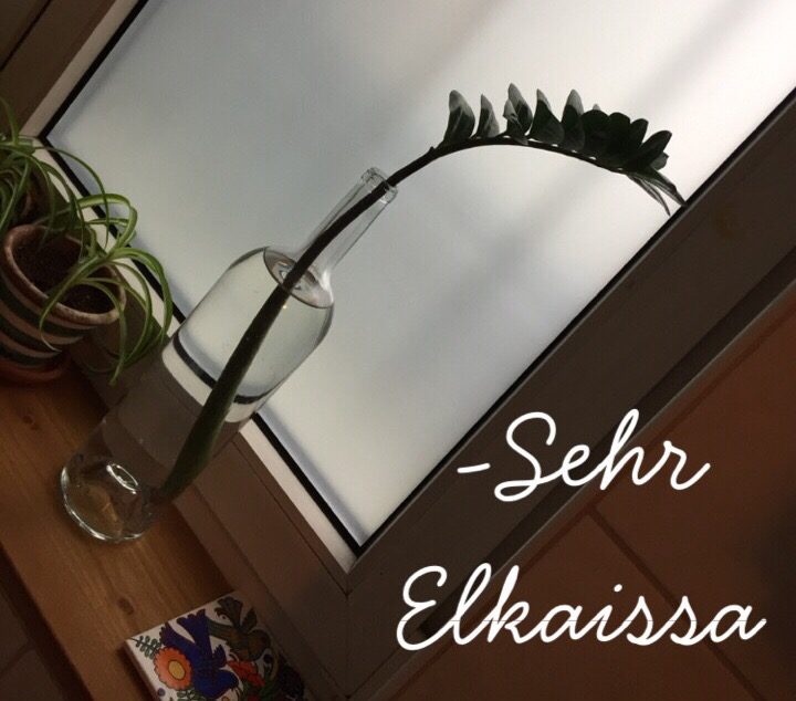 Sehr Elkaissa