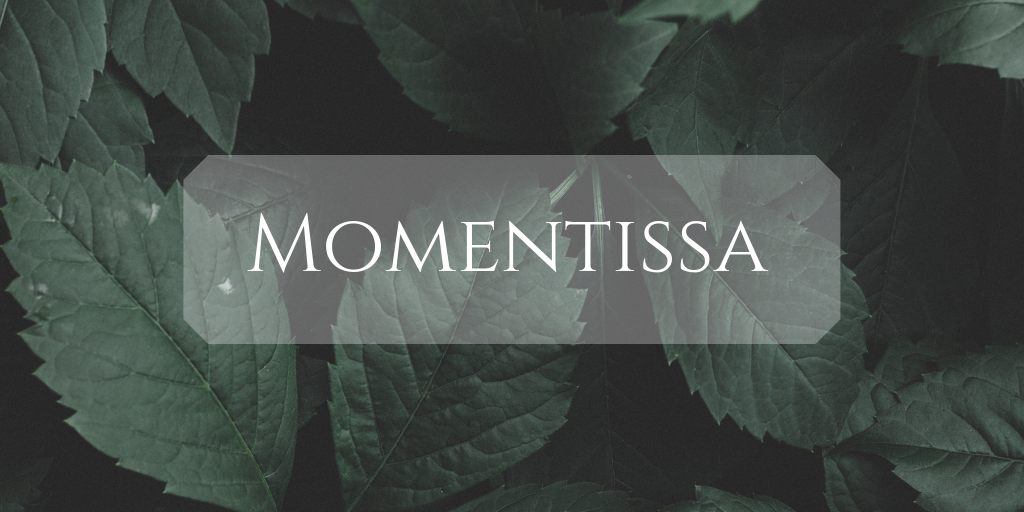 Momentissa