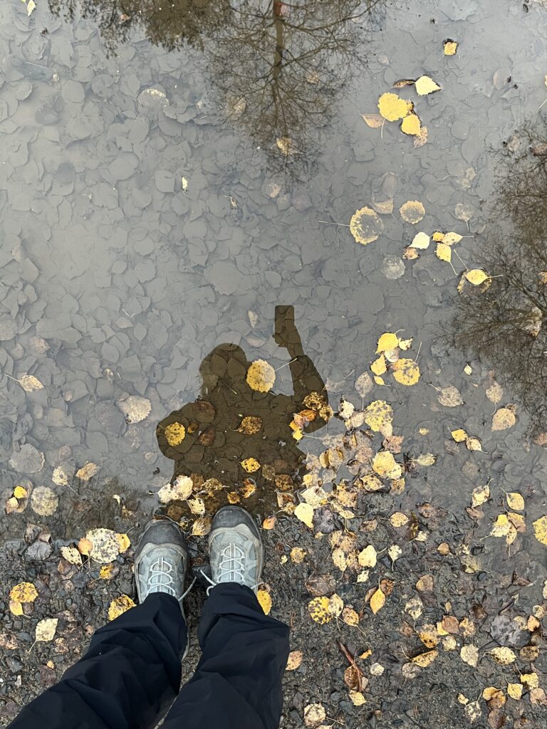 jääminen ei ollut tarinan opetus