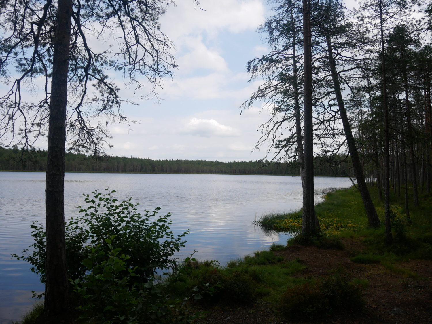 ihan mehtässä