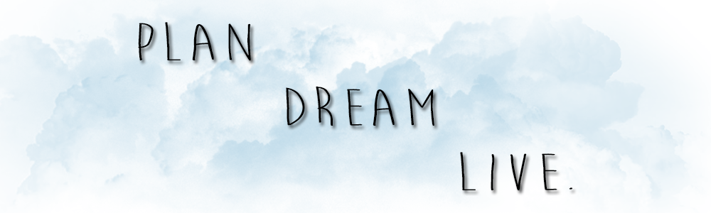 Plan Dream Live