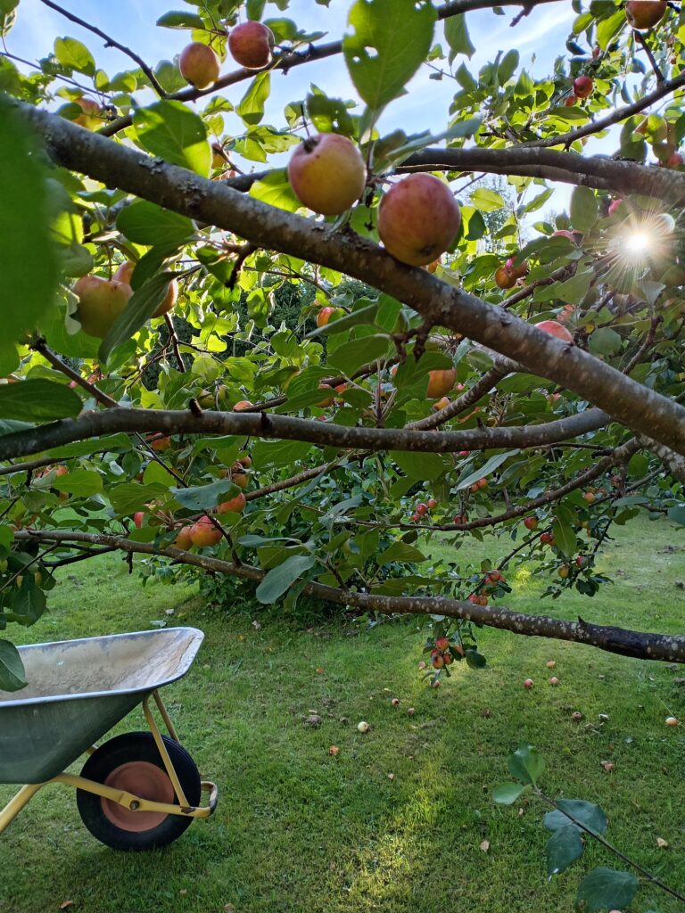 Syksyn tuoksuja, kirjoja sekä sadonkorjuun iloja