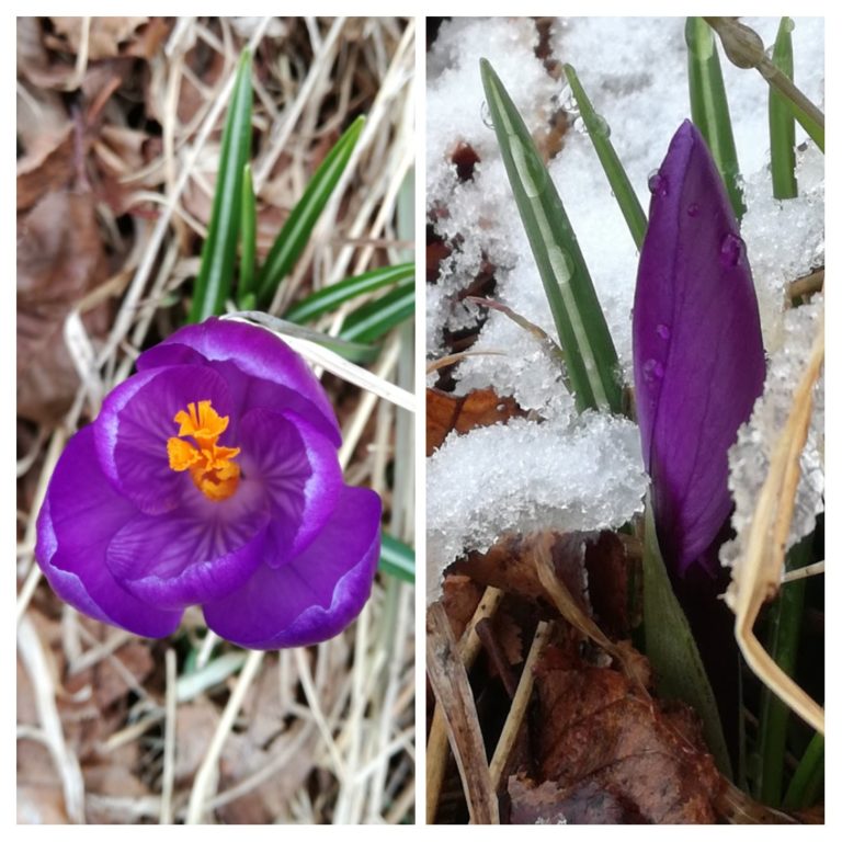 Huhtikuun hetkiä