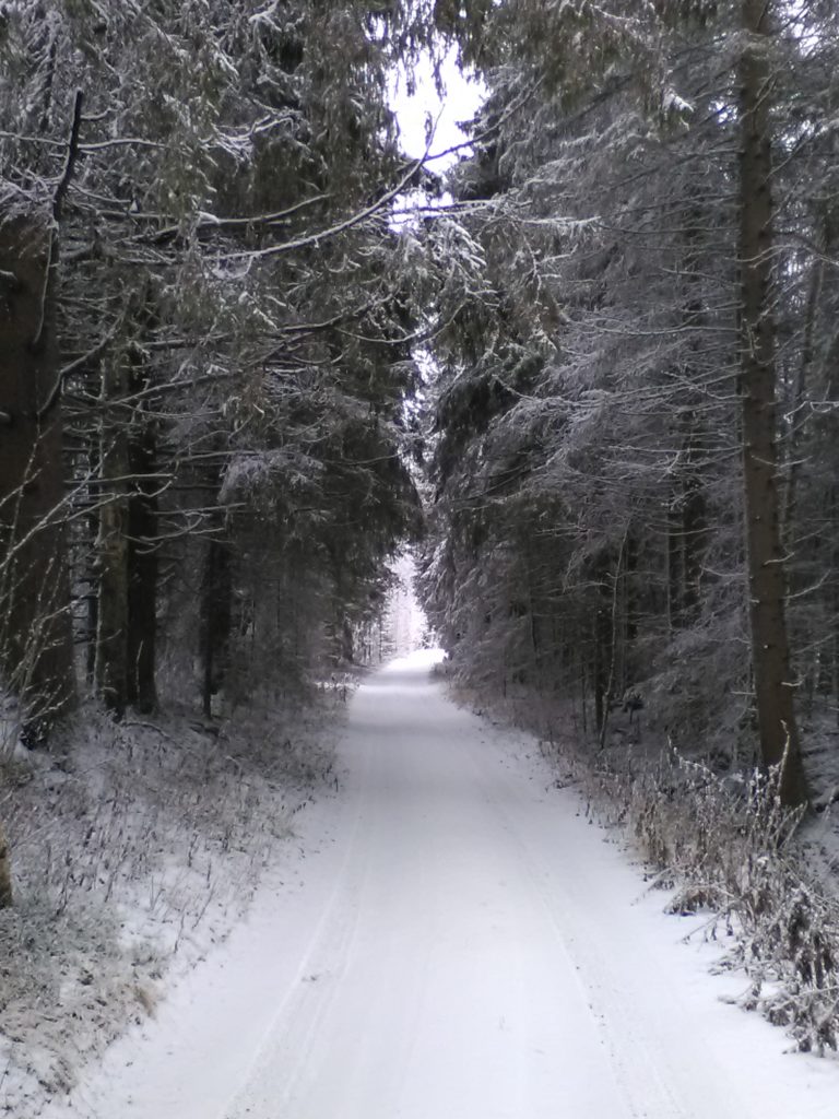 Luukku 13, top 10 joululaulut