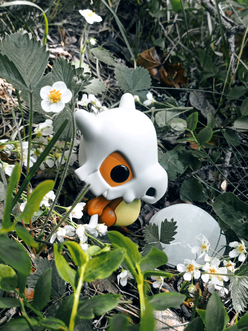 MU SUVI ! 🪲🦗
