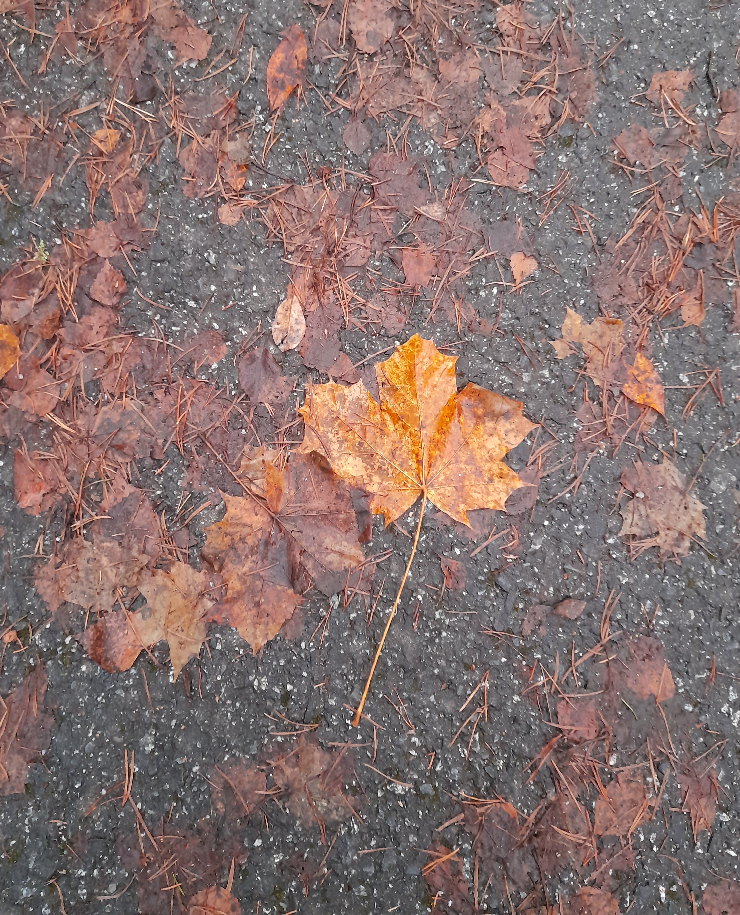 Oletko niin hyvässä kunnossa kuin haluaisit?