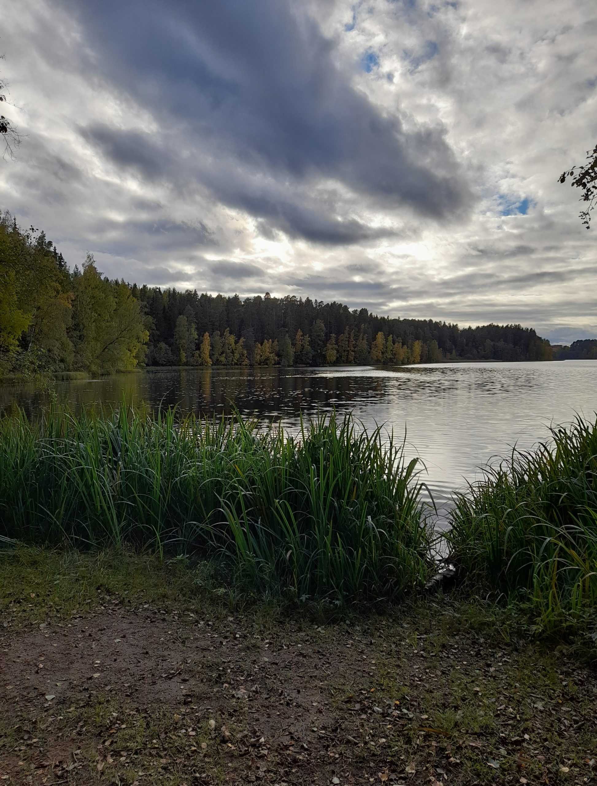 Elämäntapamuutos ei ole vienyt minulta liikaa rahaa