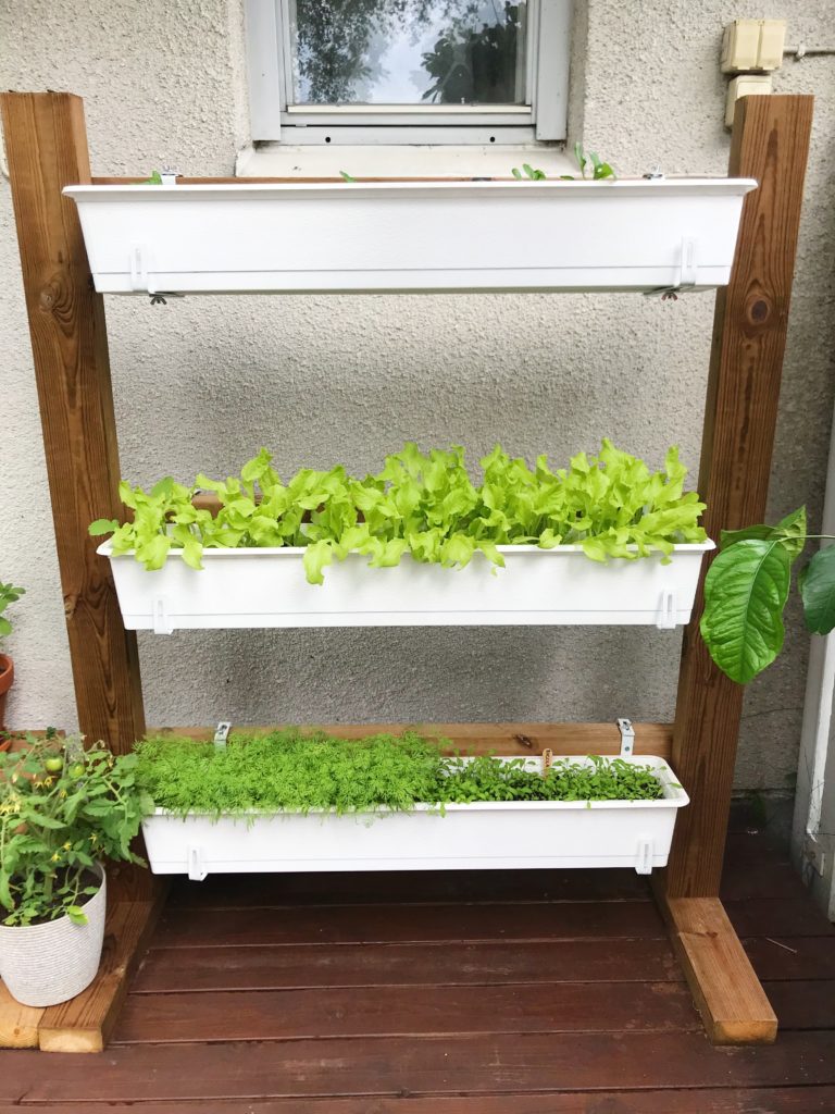 DIY – parvekepuutarha