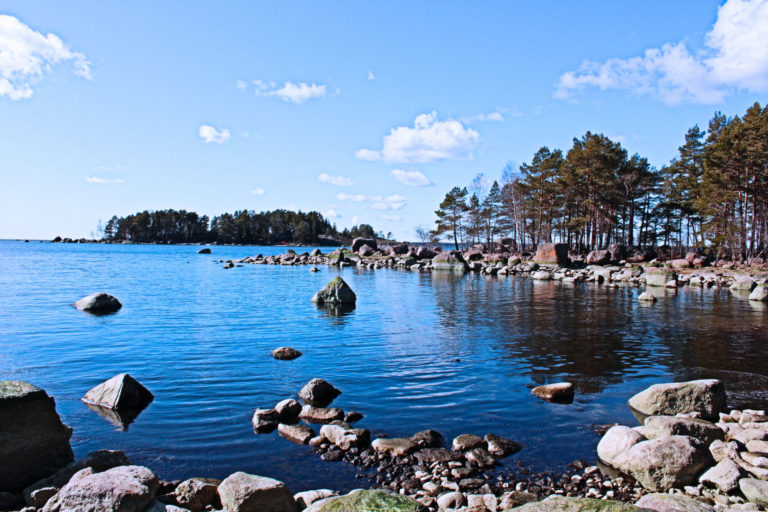 Mistä uusi alku tulee.