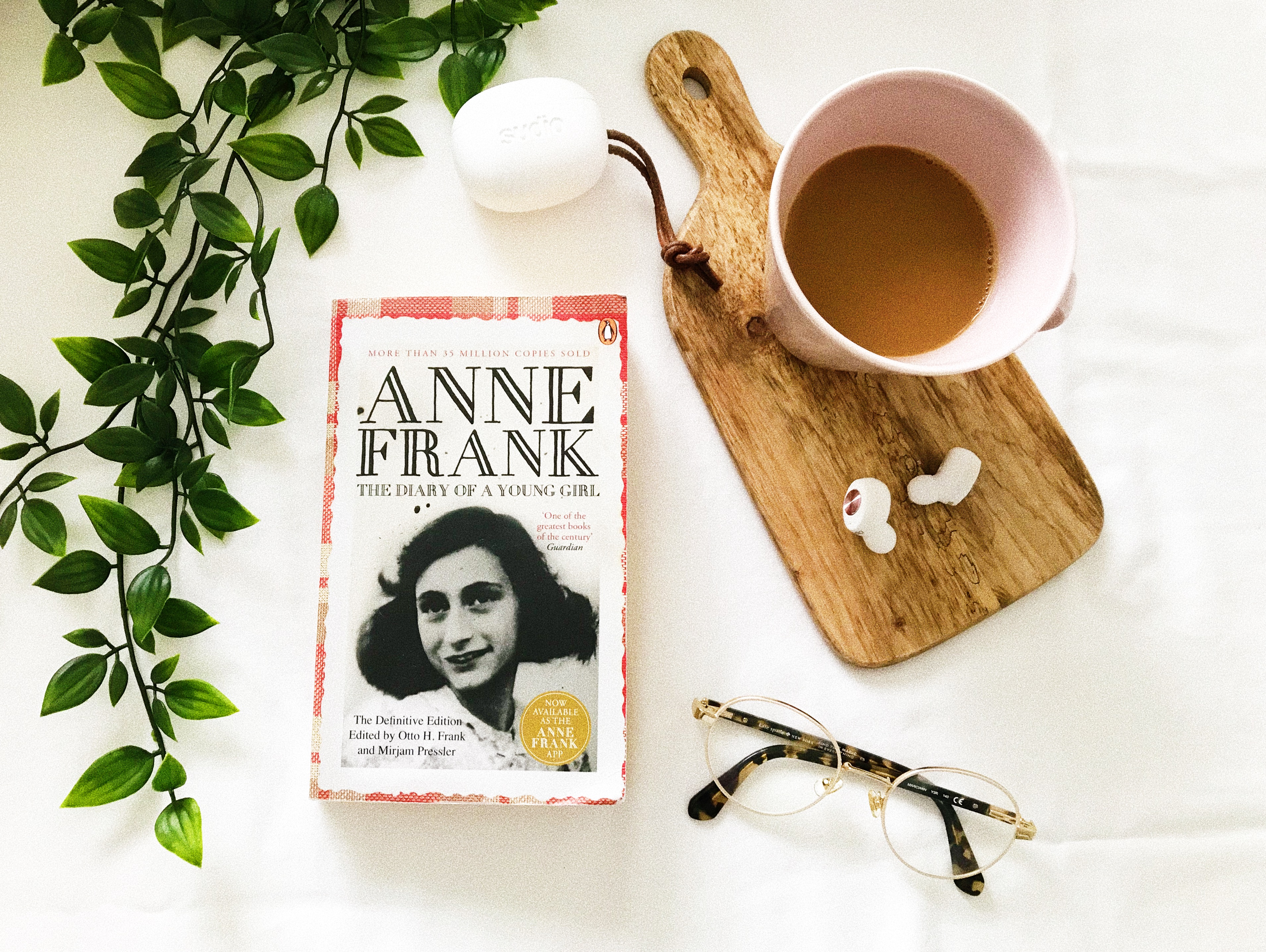 Anne Frank: The Diary of a young girl