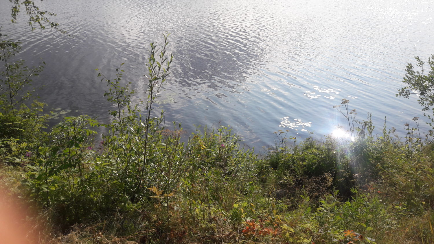 360° elämää 