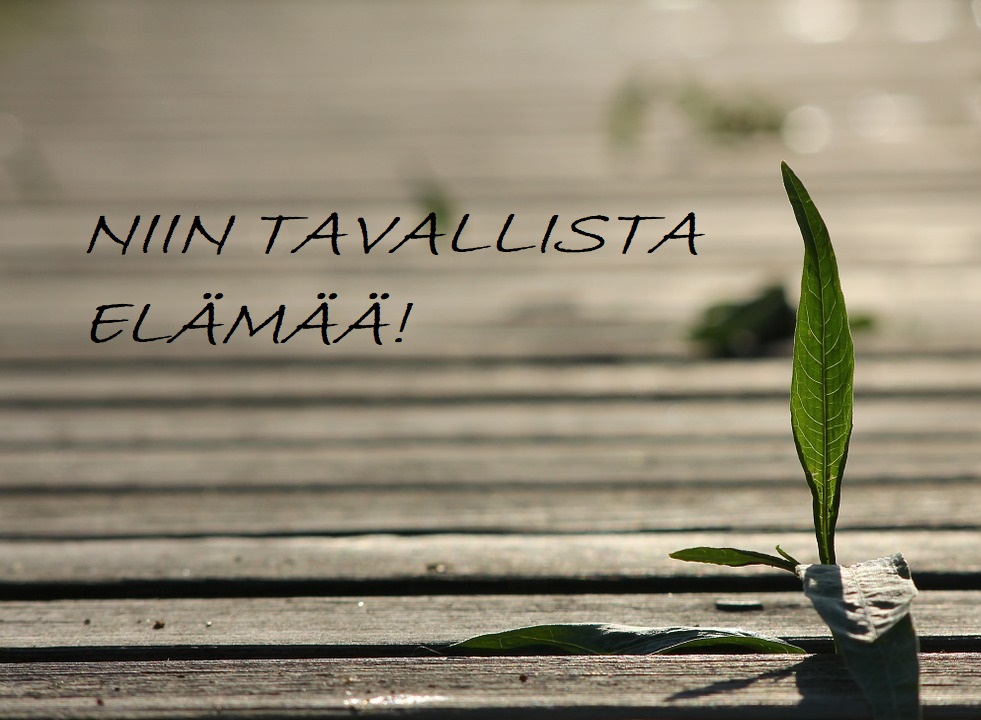 Niin tavallista elämää!