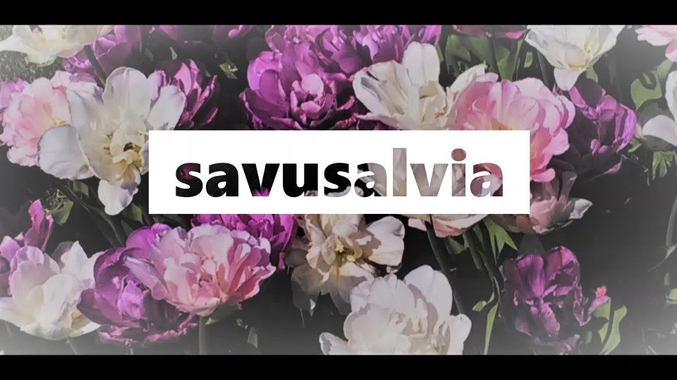 Savusalvia