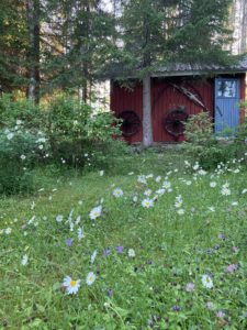 Mökki saaressa. ? – Arkea maaseudulla | Lily