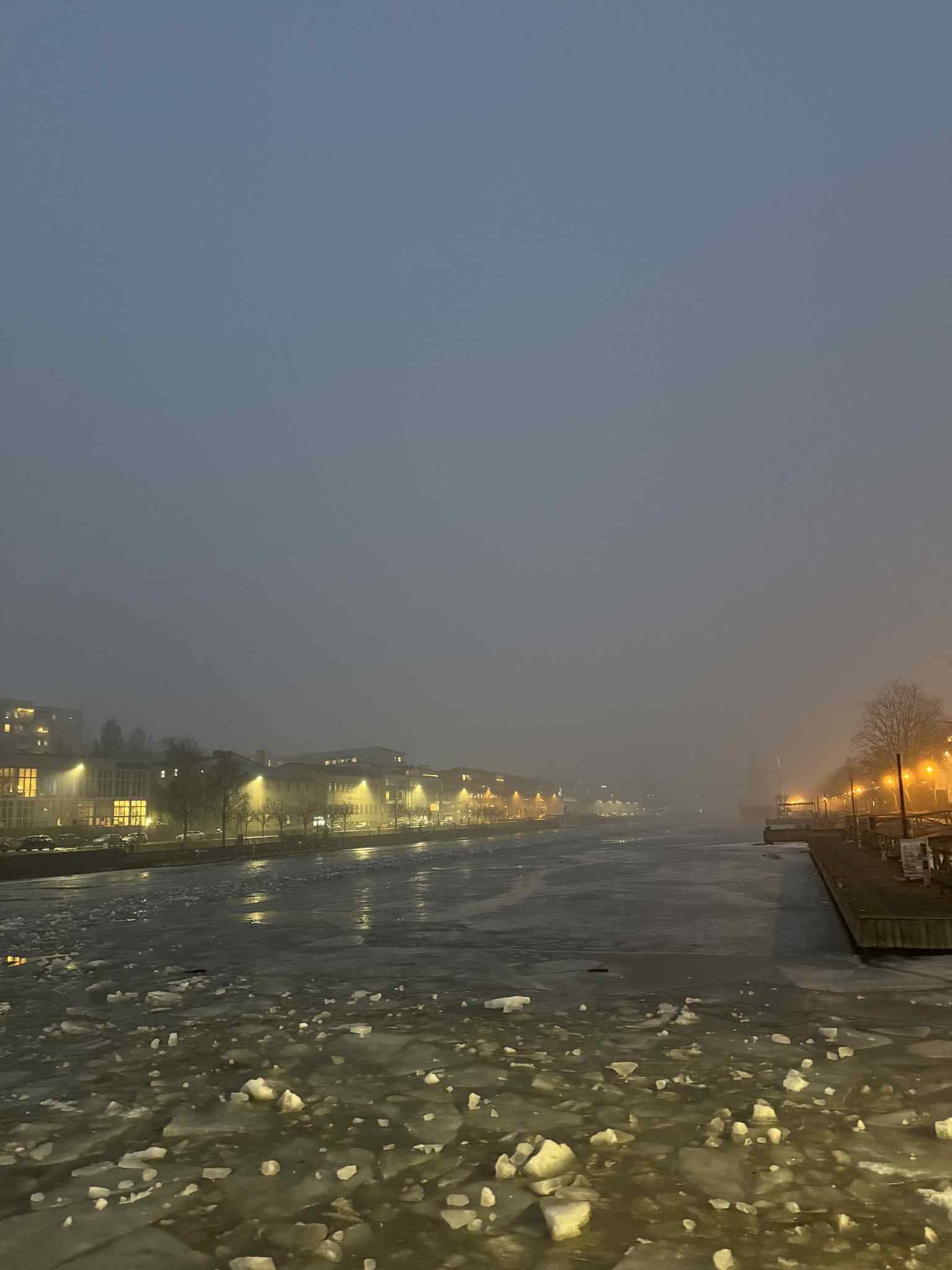 Aurajokimaisema utuisena