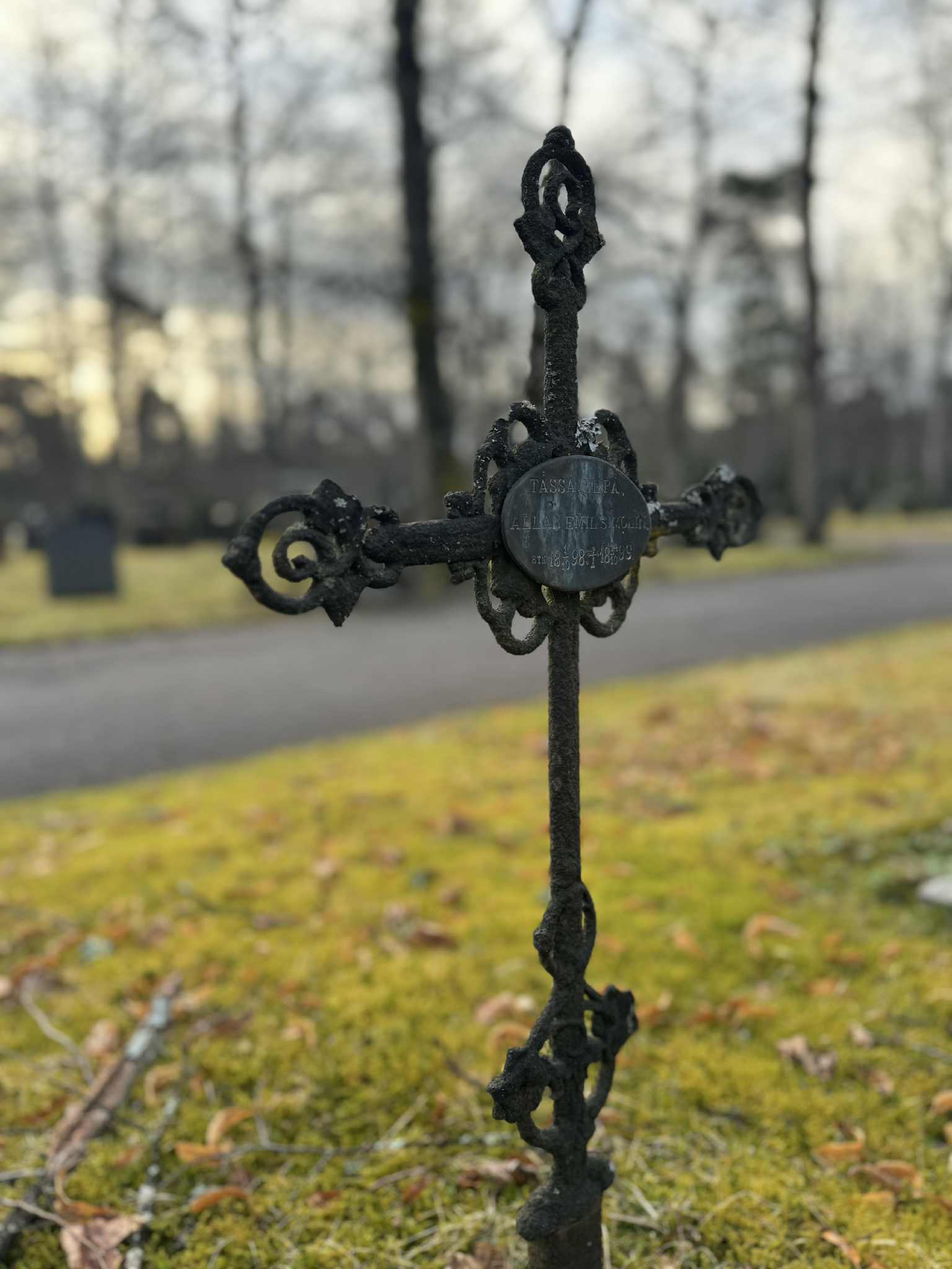 Hautaristi