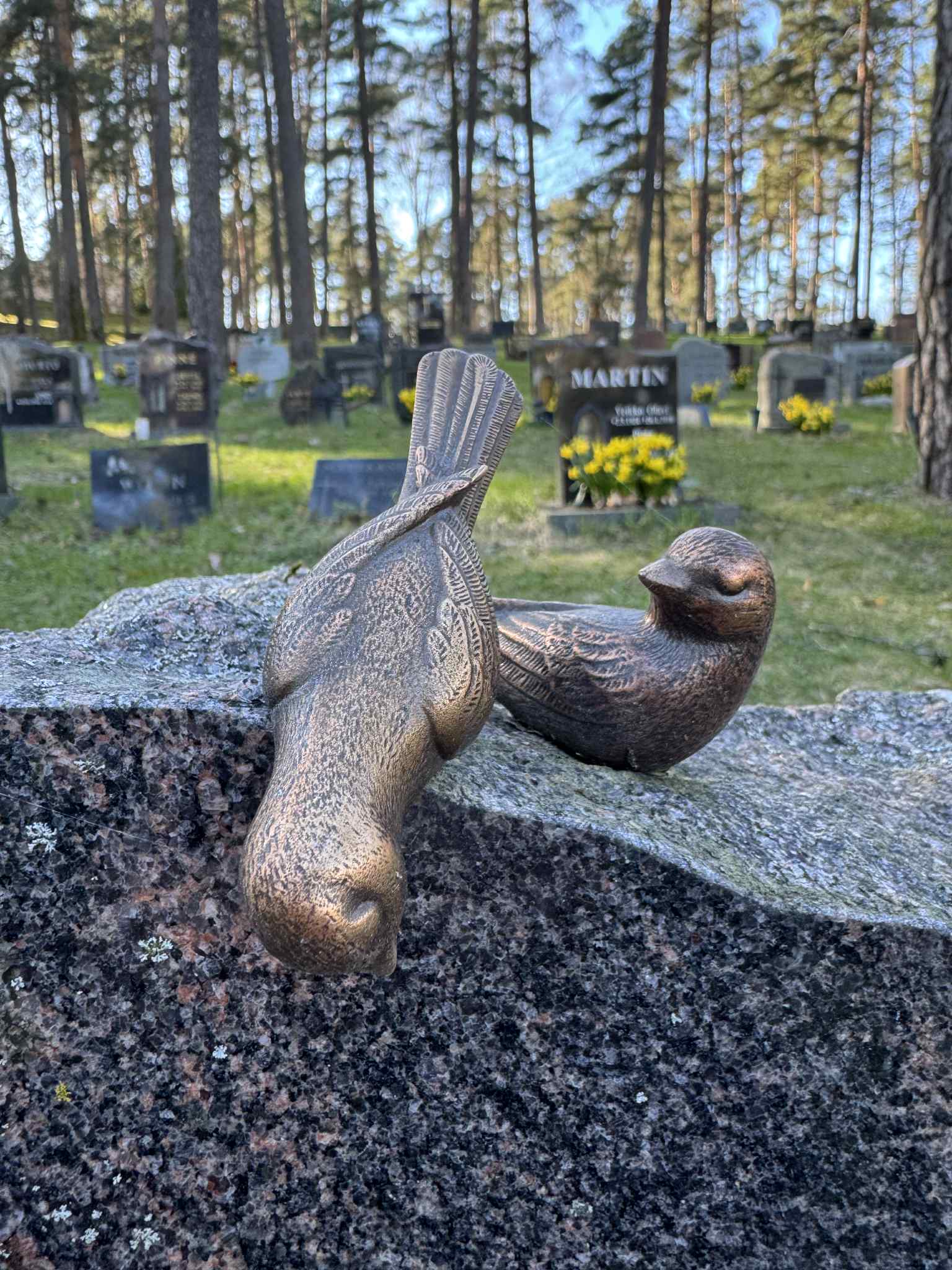 Kaksi lintua kiven päällä