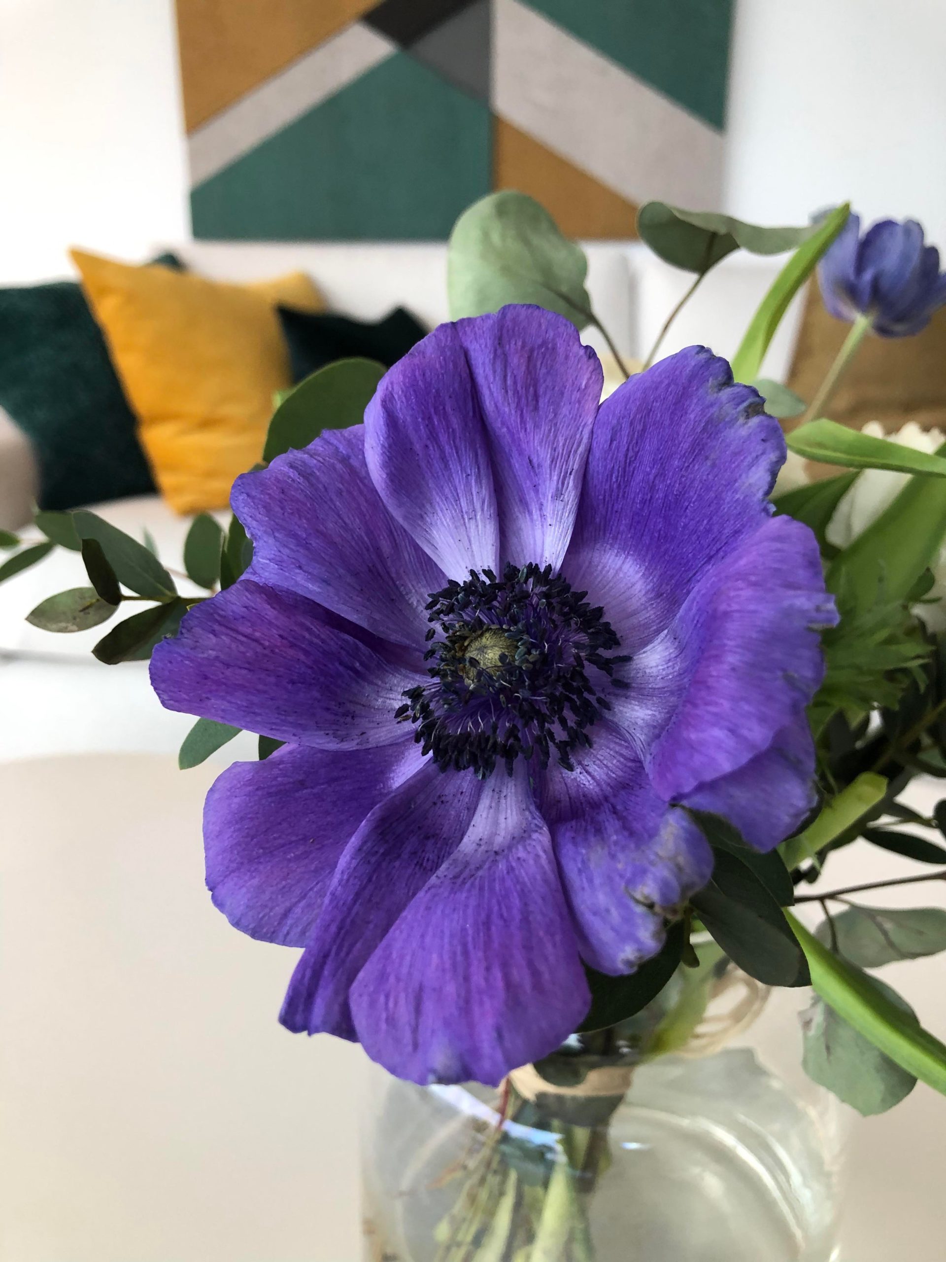 Violetti kukka olohuoneen pöydällä