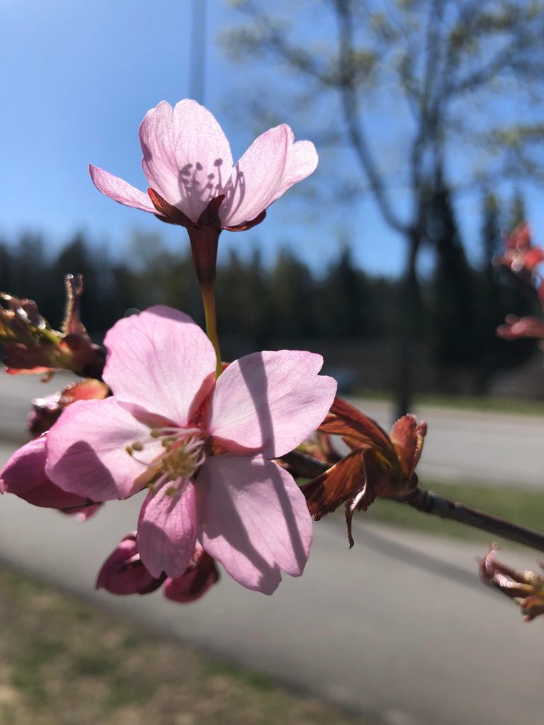 Viikon parhaat: Ainakin yksi hyvä ajatus päivässä