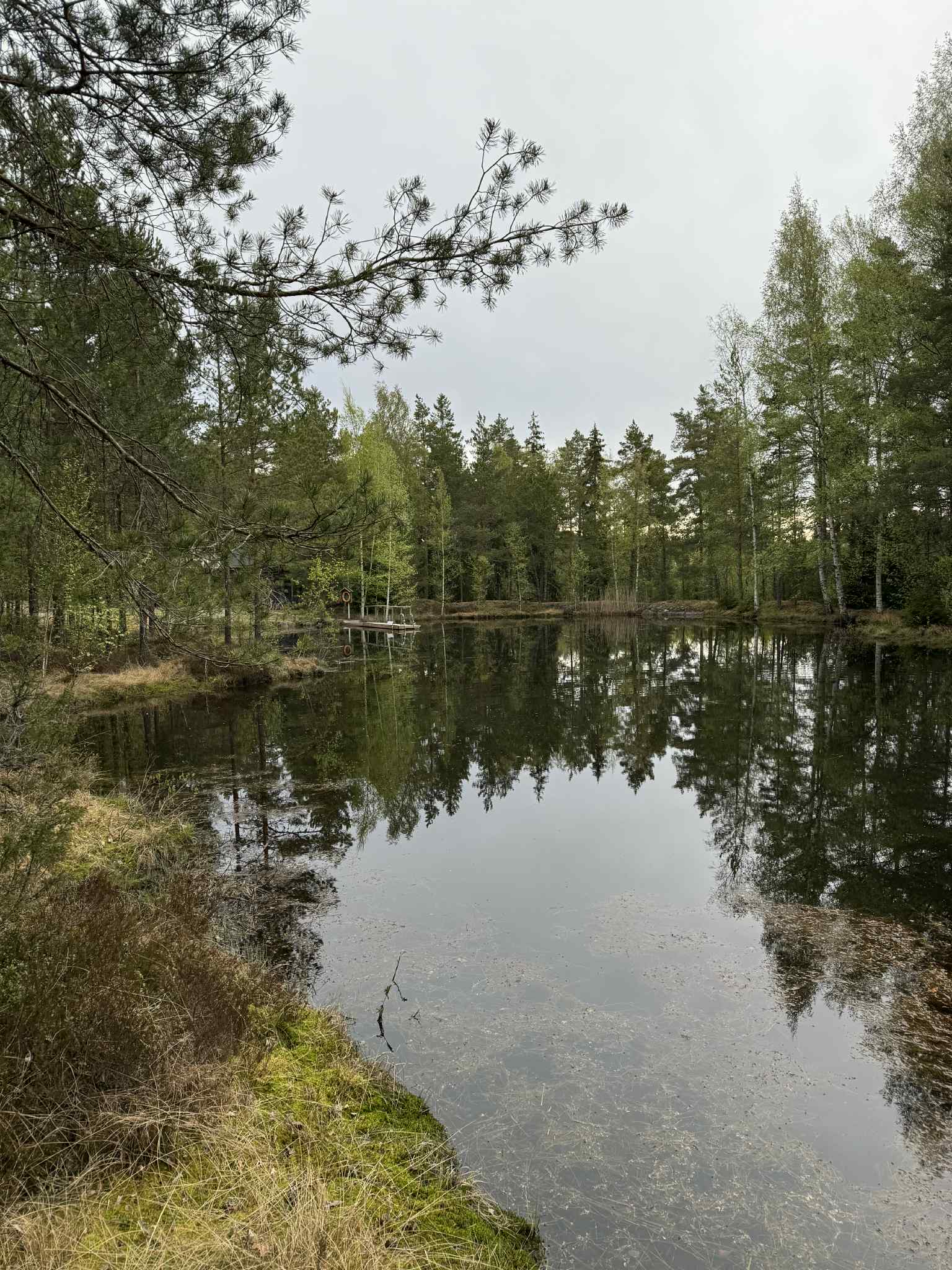 Lampi Harvaluodossa
